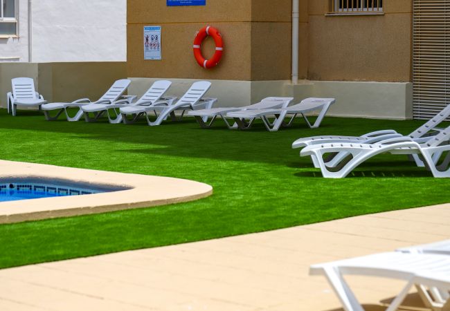 Apartamento en Playa de Gandía - CALMO SINGULAR APARTMENTS 7A Apartamento en Playa de Gandía - CALMO SINGULAR APARTMENTS 7A