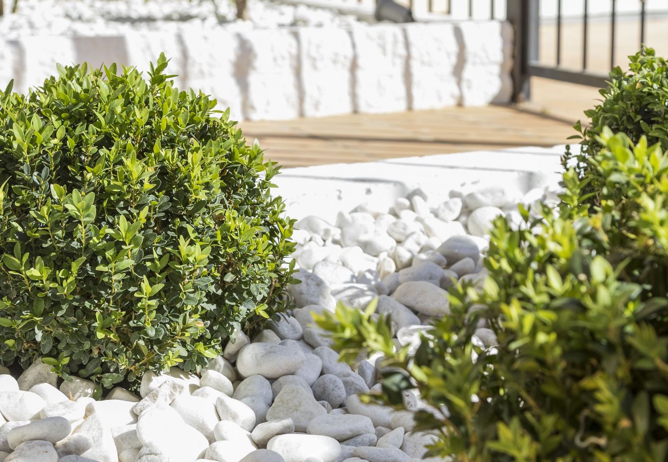 Apartamento en Playa de Gandía - CALMO SINGULAR APARTMENTS 7A Apartamento en Playa de Gandía - CALMO SINGULAR APARTMENTS 7A