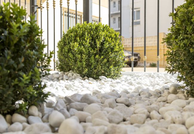 Apartamento en Playa de Gandía - CALMO SINGULAR APARTMENTS 2B Apartamento en Playa de Gandía - CALMO SINGULAR APARTMENTS 2B